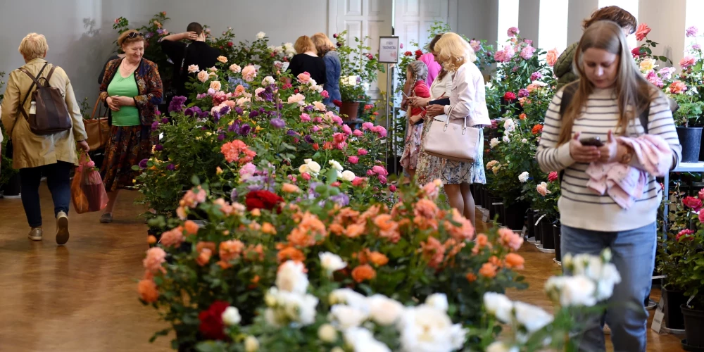 Nākamnedēļ Dabas muzejā norisināsies rožu izstāde