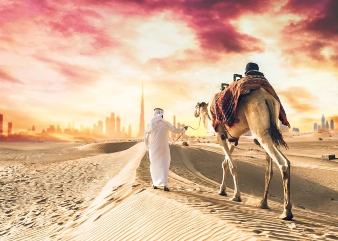 Южная страна нагрелась до невероятных температур: населению раздали инструкции, как выживать