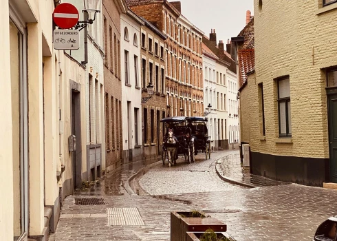 Vietējais politiķis atklāj, ka mēnesī no Briges vēsturiskajām ielām pazūd aptuveni 50 līdz 70 bruģakmeņi, bet tūrisma sezonas laikā vēl vairāk.