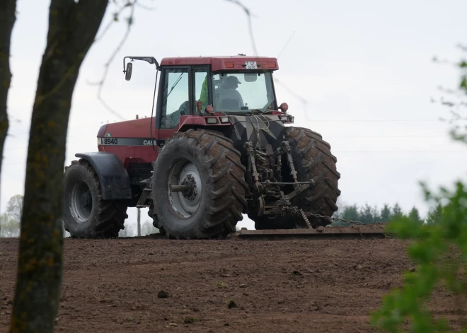 Laikapstākļu dēļ vietām Latvijā sapuvusi daļa iesēto cūku pupu un zirņu