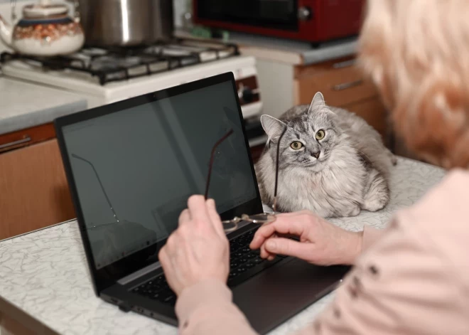 Исследователи выяснили: удаленная работа делает людей счастливее