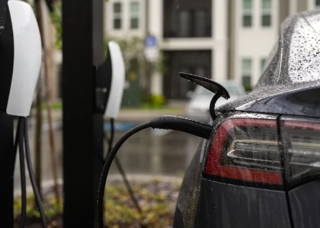 В Европе растут продажи электромобилей, а реализация машин от Tesla упала вдвое
