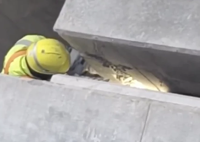 Мост Rail Baltica разваливается еще до завершения строительства? В соцсетях появилось странное видео