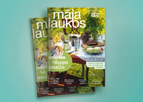 Publicitātes foto