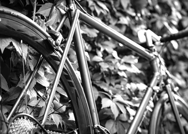 Iecavā kāds grupējums no velosipēda nogrūdis un aplaupījis vīrieti