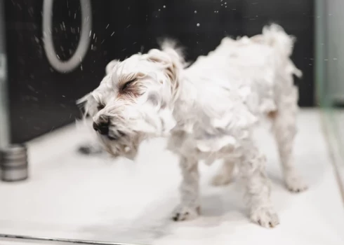 Иллюстративное фото.