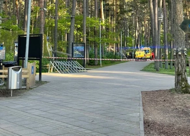 ЧП в Дзинтари: со смотровой вышки упал мужчина и погиб