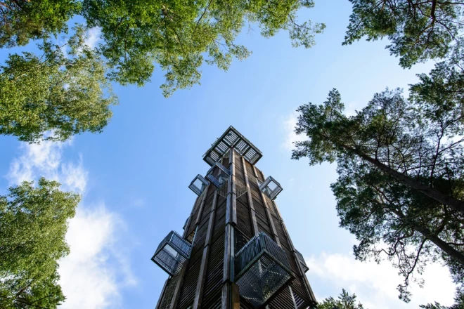 Смотровая вышка в Дзинтари.