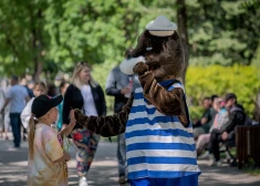Kultūras pils Ziemeļblāzma parkā notiks ikgadējie Bērnu svētki 
