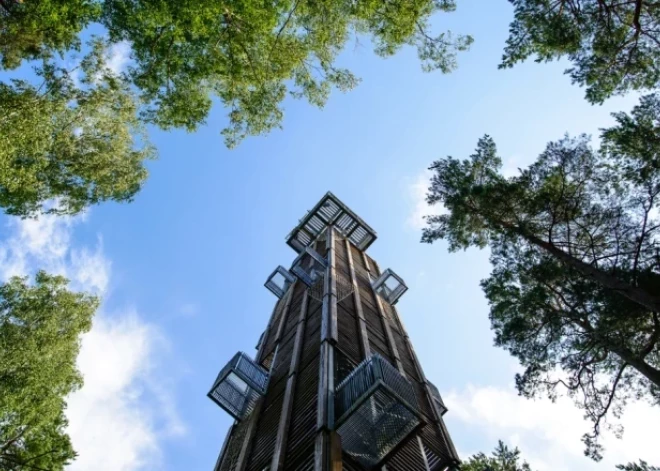 Подробности трагедии в Дзинтари: мужчина гулял по парку, потом поднялся на вышку и покончил с собой