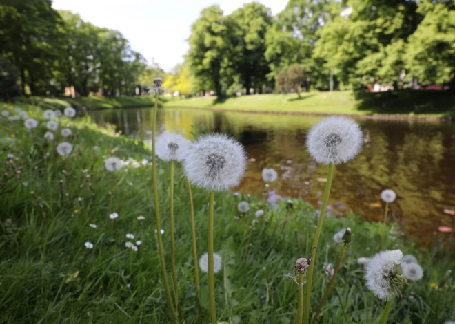 Жителей Латвии предупреждают об опасном солнце в ближайшие дни - возможны ожоги за 20 минут