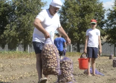  "Очень жестоко и стыдно": в Беларуси разразился картофельный кризис, в недоумении даже Путин