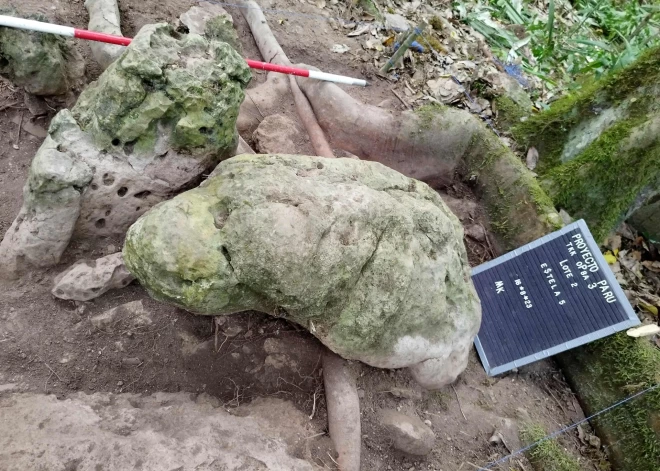 Arheologi Gvatemalas džungļos atraduši 3000 gadus vecas maiju pilsētas paliekas. FOTO