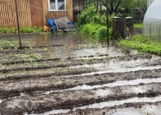 Восток Латвии затапливает: после ливней уровень воды в реках стремительно поднимается