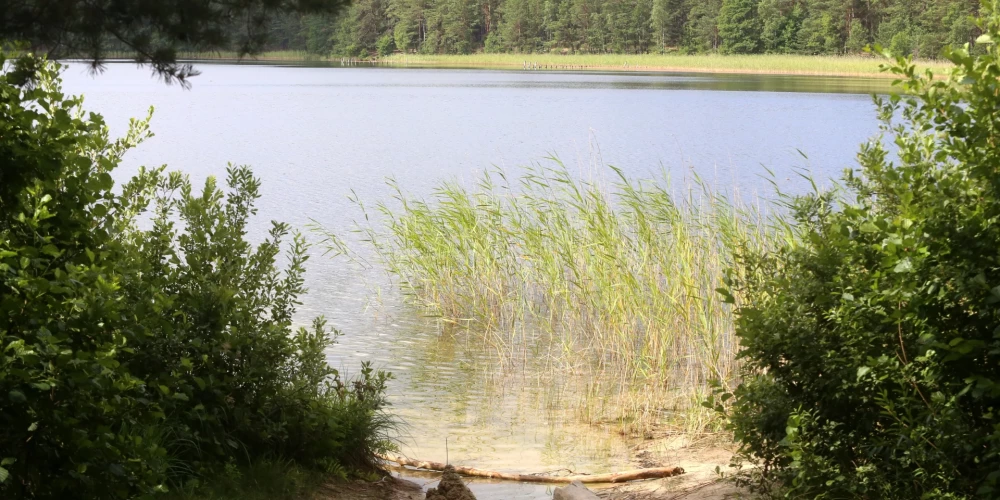 Ummja ezers Ādažu novada dabas parkā “Piejūra”.