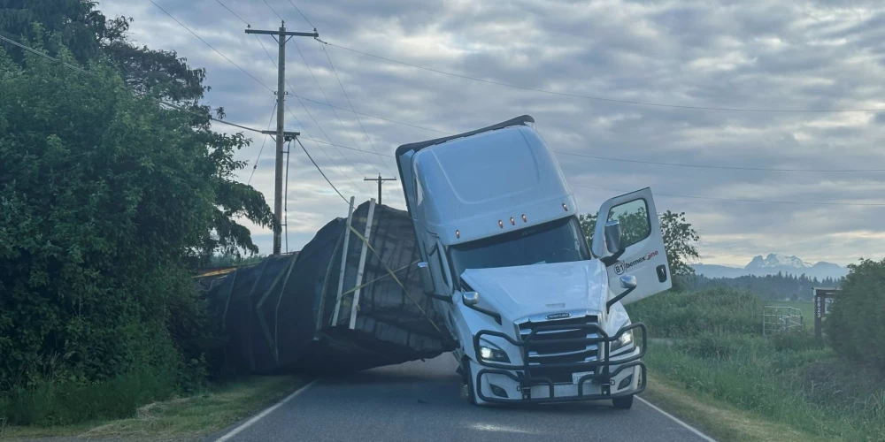 No kravas auto izbēg miljoniem bišu.