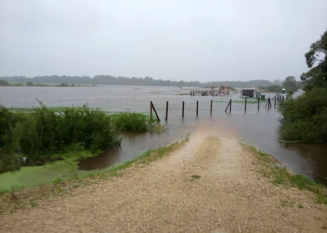 Фермеры Видземе и Латгале просят объявить чрезвычайную ситуацию