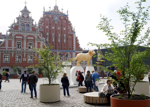 Иллюстративное фото.