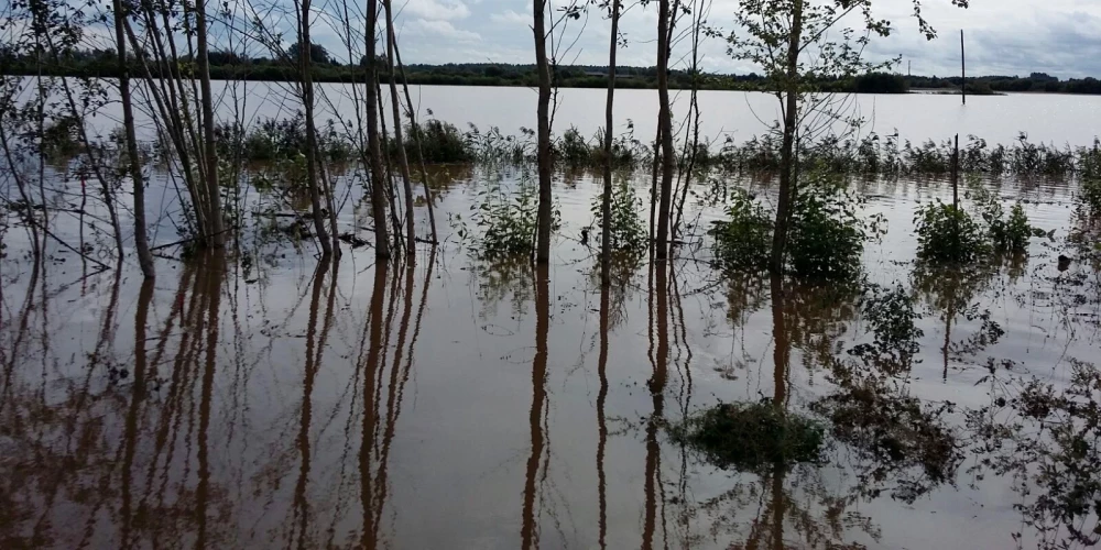В ближайшие сутки дожди пройдут по всей Латвии, однако прогнозы относительно того, какие регионы окажутся под влиянием сильнейших осадков и каково будет их количество, расходятся. 
