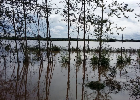 В ближайшие сутки дожди пройдут по всей Латвии, однако прогнозы относительно того, какие регионы окажутся под влиянием сильнейших осадков и каково будет их количество, расходятся. 