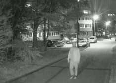 Vai esi viņu redzējis? Policija meklē karoga zagli. VIDEO