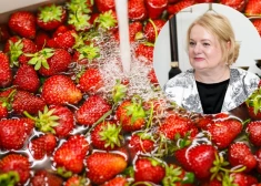 Vai ēdīsi zemenes, kas izpeldējušās kanalizācijā? Skaidro pārtikas drošības eksperte Olga Valciņa