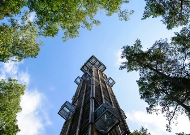 Повысят ли безопасность смотровой башни в Дзинтари после cмерти молодого человека?