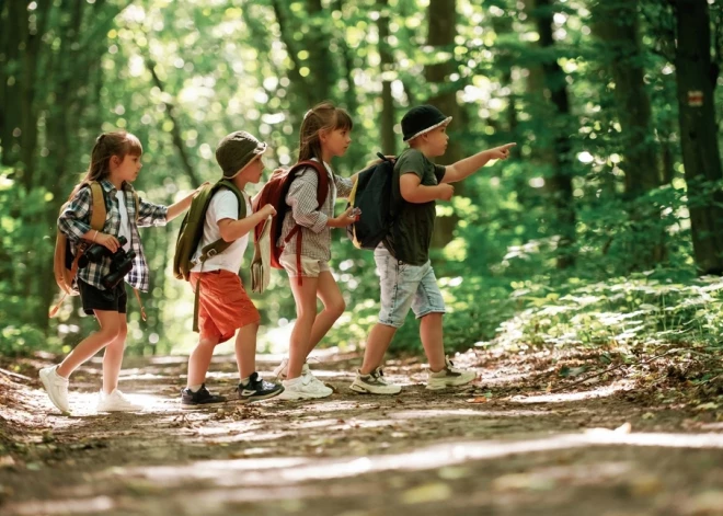 Как убедиться в безопасности летнего лагеря: советы родителям