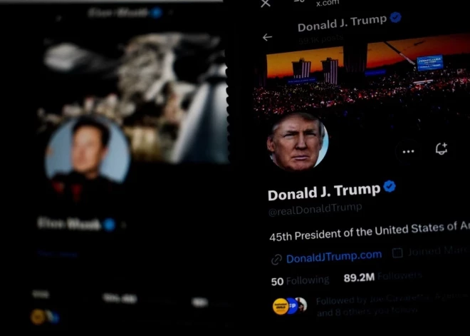 Вот и дружбе конец: Дональд Трамп и Илон Маск разругались в пух и прах