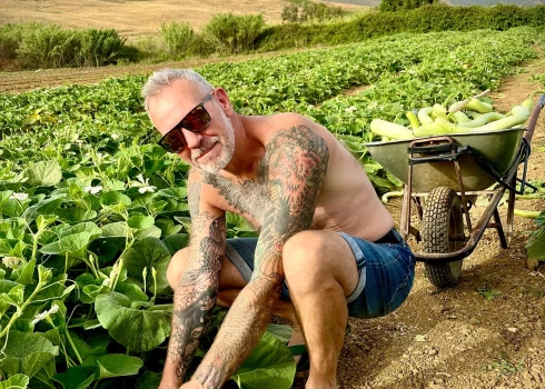 Artis Dzērve uz lauka, novācot cukīni ražu.