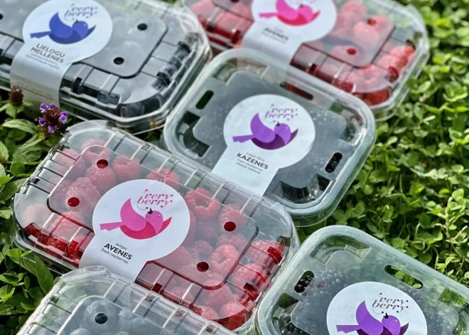 Ievērojami augusi uzņēmuma "Very Berry" peļņa