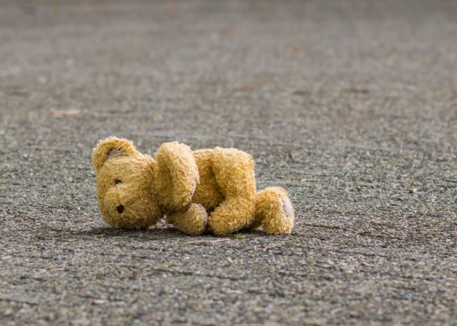 У мужчины украли плюшевого медвежонка, подаренного мамой, - он обещает 1000 евро за его возвращение
