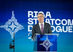 Ринкевич: если НАТО не продемонстрирует единство в Гааге, Россия воспользуется этим
