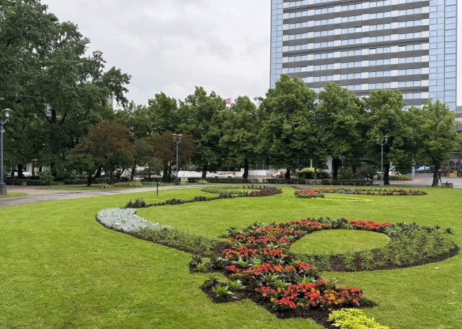 Par godu XIII Latvijas Skolu jaunatnes dziesmu un deju svētkiem Rīgas dārzus un parkus rotā burvīgas ziedu dobes