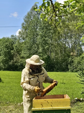 Ne visi dravnieki ir kāri uz medu. Pēterim Novičenokam pietiekot ar vienas tējkarotes pilnīgi svaiga medus pagaršošanu. Viņu daudz vairāk saista pats process, ka palīdz atpūsties no tiesneša darba.
