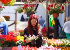 Суббота будет солнечной и сухой