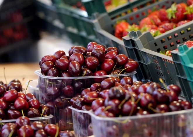 Центральный рынок в Риге вновь радует изобилием свежих сезонных продуктов, и в июньские дни здесь особенно оживленно.