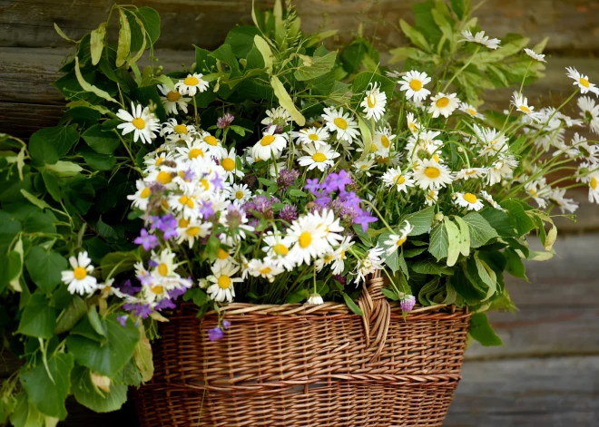 Saulgriežu nedēļa iesāksies ar karstumu, bet turpināsies ar lietu un vēju