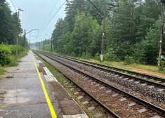 На первых километрах трассы Rail Baltica надеются сэкономить 100 млн евро