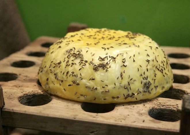 Скрепы в опасности! Сможет ли любимый латвийцами тминный сыр устоять перед рыночными вызовами