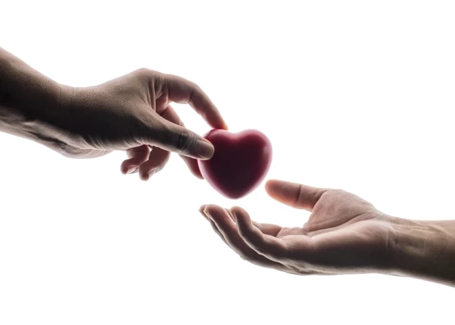 Донорство после смерти: только 2% жителей Латвии выразили свою волю