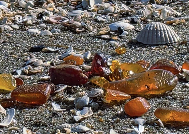 Neticams atradums Rīgas jūras līcī liek apšaubīt, vai foto nav taisīts ar mākslīgā intelekta palīdzību