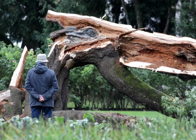 Rīt Vidzemes piekrastē gaidāms bīstami spēcīgs vējš - Rīgā var tikt lauzti koki