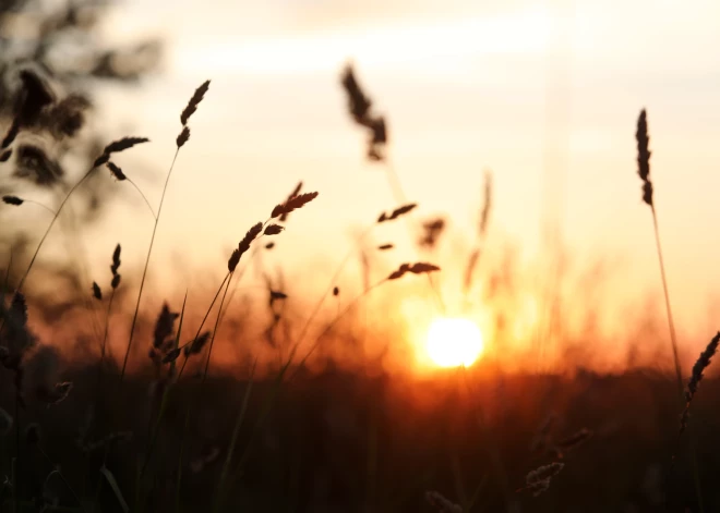 Среднесуточная температура не дотягивает до +15: лето в Латвии так и не началось