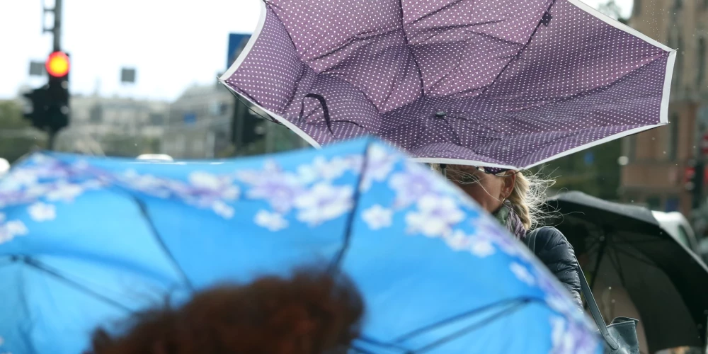Spēcīgais vējš kopā ar lietu var izraisīt koku lūšanu. Lielākie postījumi gaidāmi Rīgā, Jūrmalā un novados ap galvaspilsētu.