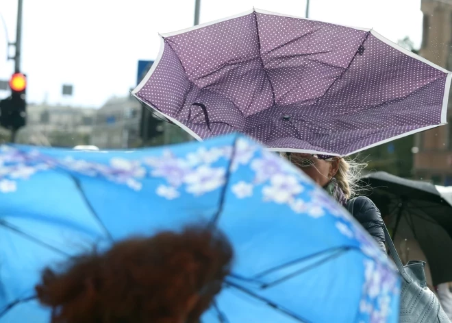 Объявлено желтое предупреждение о дожде; ночью и утром ветер в Риге и Юрмале может ломать деревья