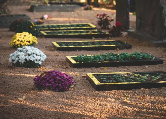 Kuras puķes vislabāk der, lai stādītu kapos?