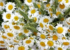 Латвию продует и прогреет: капризная погода в пятницу