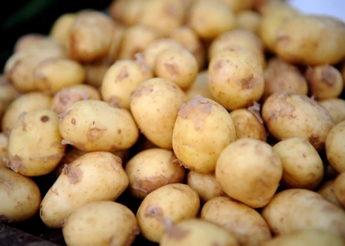 Jaunie kartupeļi Rīgas Centrāltirgū.