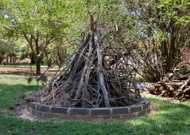 Заранее приготовили костер на Лиго? Убедитесь, что там не появилось птичье гнездо